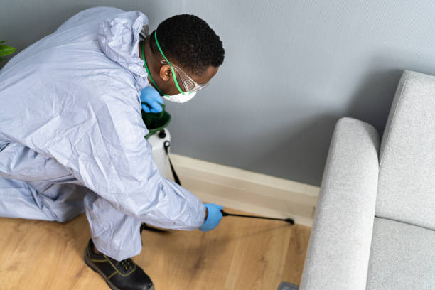 Reliable Acton, CA Pest Control Solutions